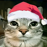 ItzCat