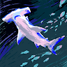 mushyshark81028