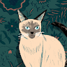 CatRoman05