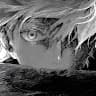 user2391