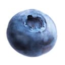 [+1 BADGE] blueberry