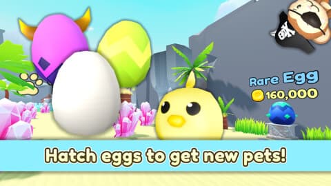 Collect All Pets | Versus Airlines