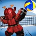 Volleyball Legends Inf Spins/ Fast Flags 