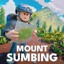 [🐔⚡] Mount Sumbing 