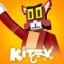 Tiger X Hub Kitty