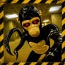 Afraid Monkeys