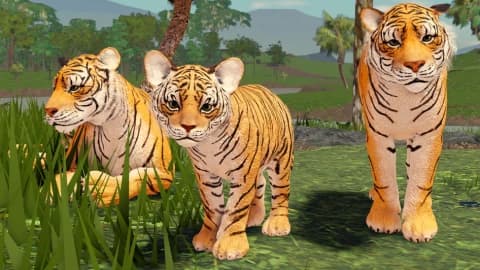 Jungle Creatures