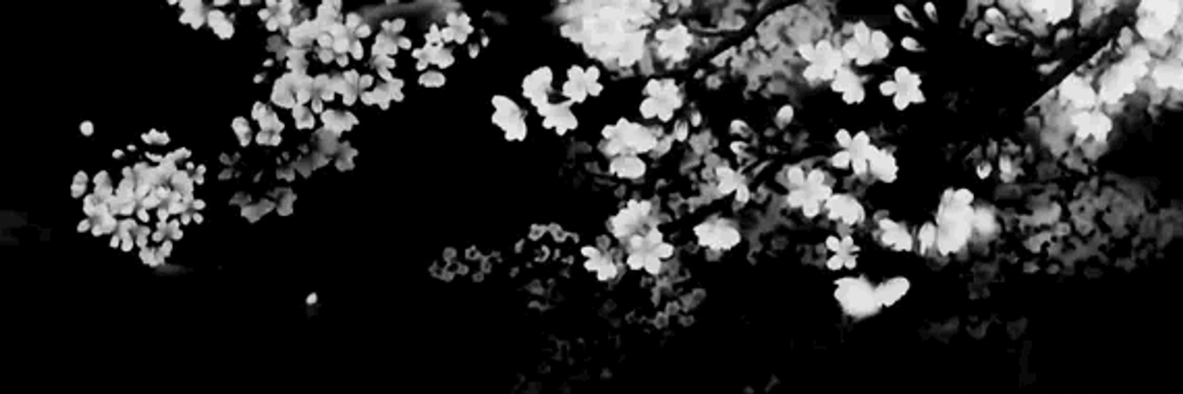 Emplic's banner