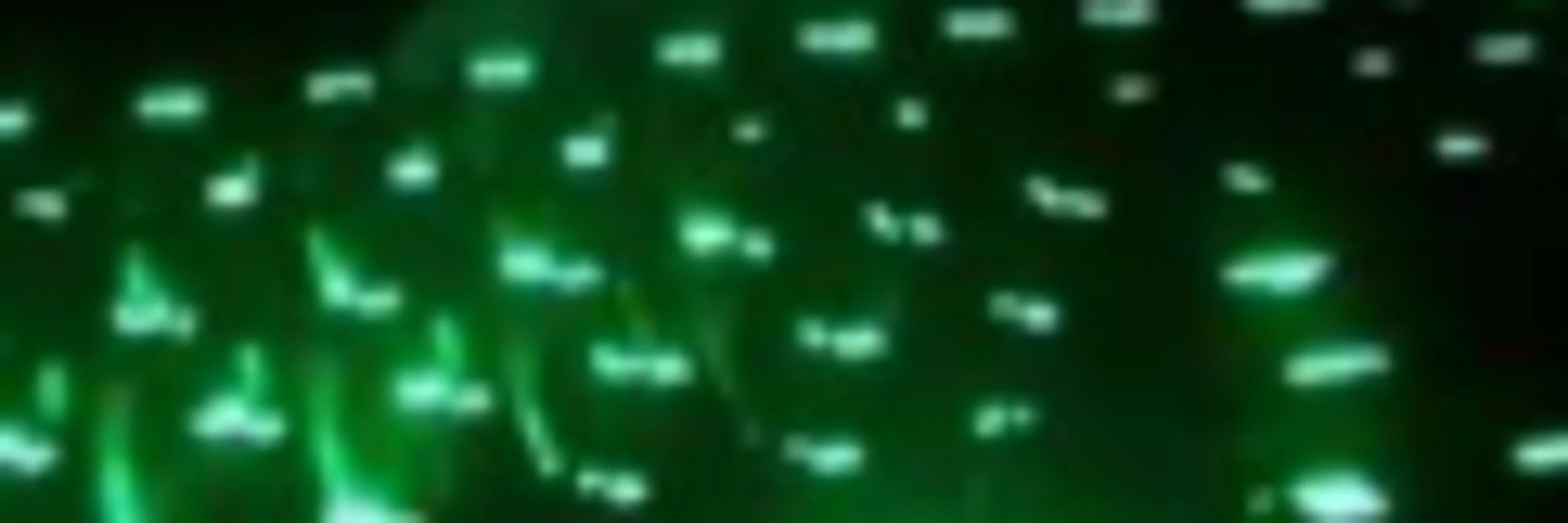 stav's banner
