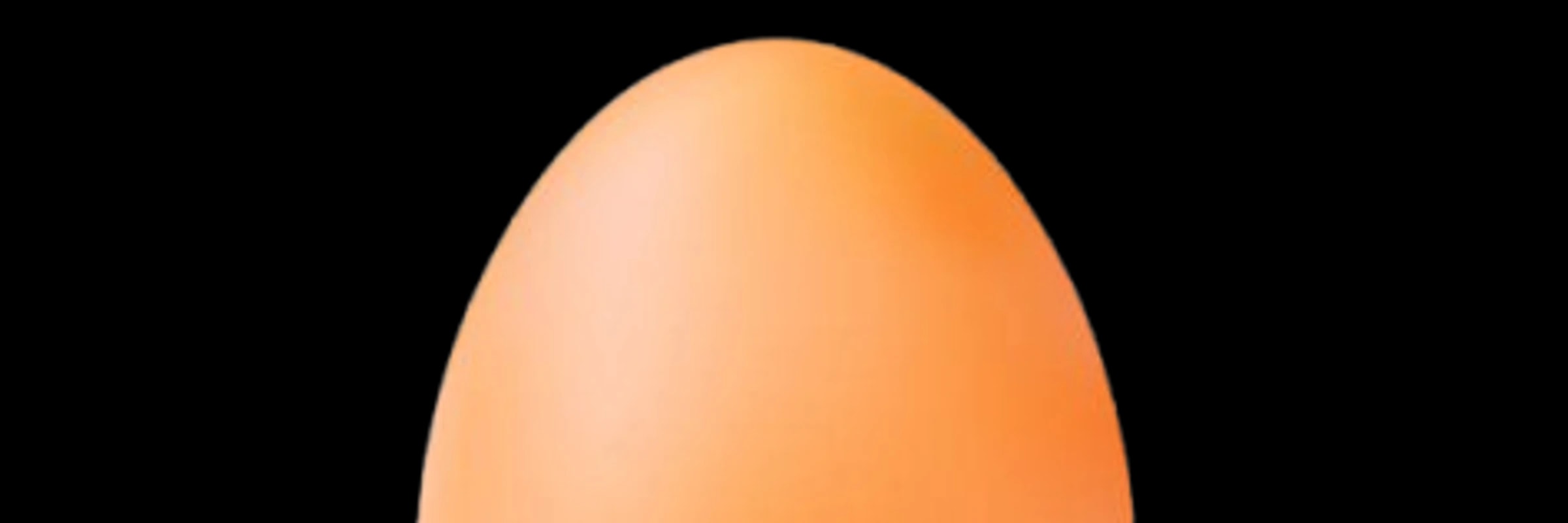 DOIT's banner