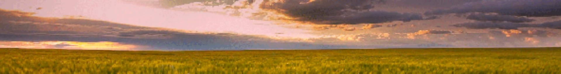 northasis's banner