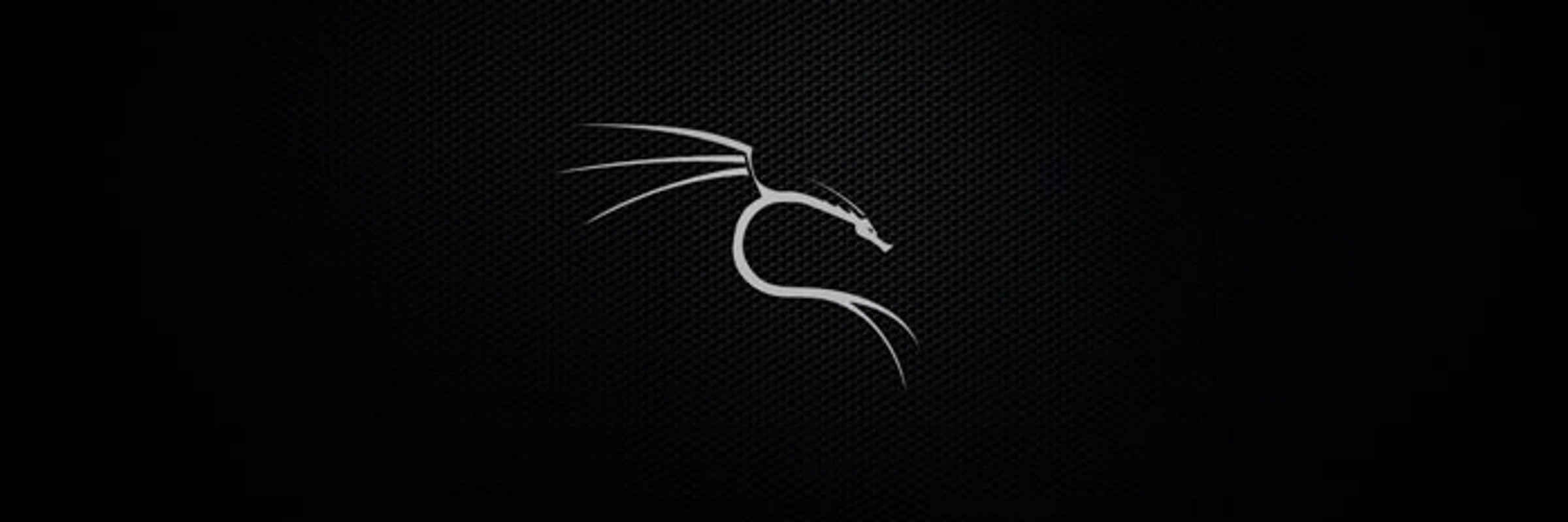 LxWxDev's banner