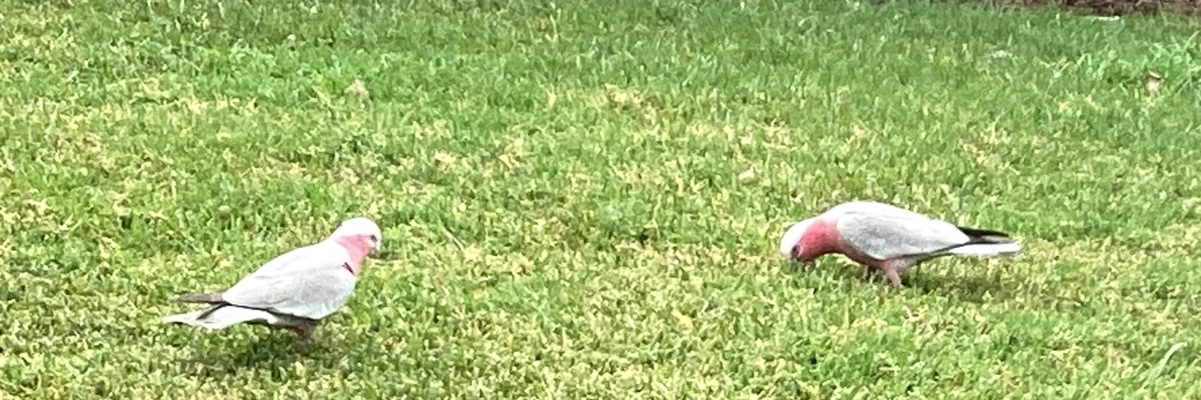 Ben_bb's banner