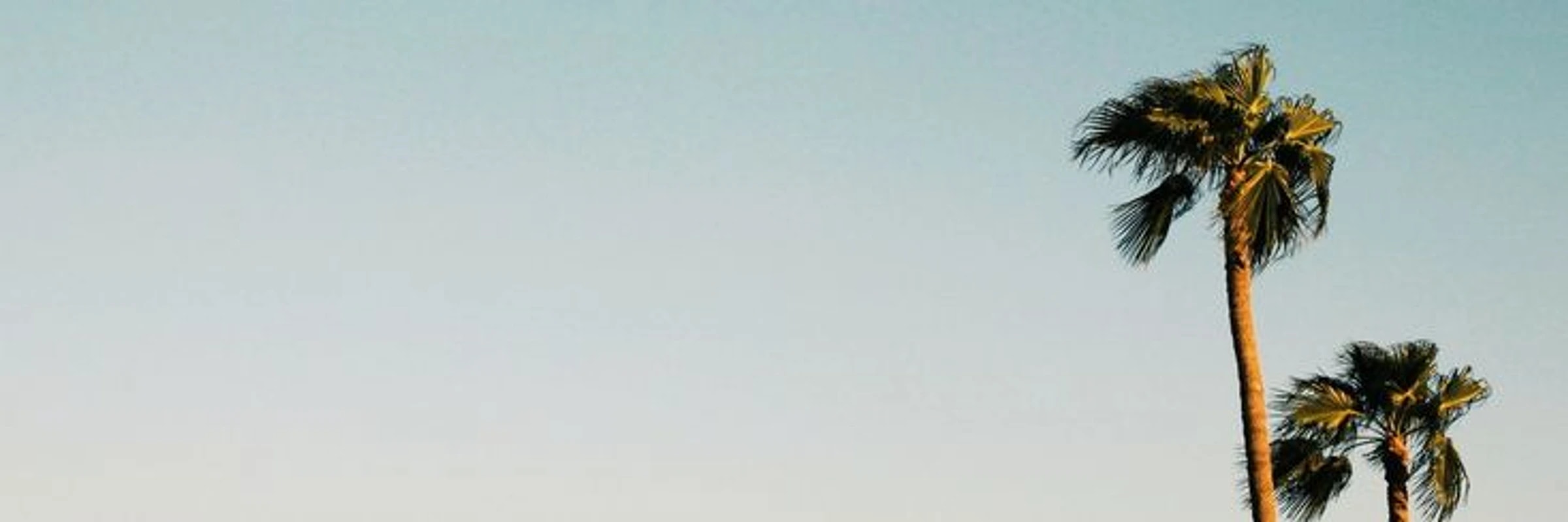 Lonr1x's banner