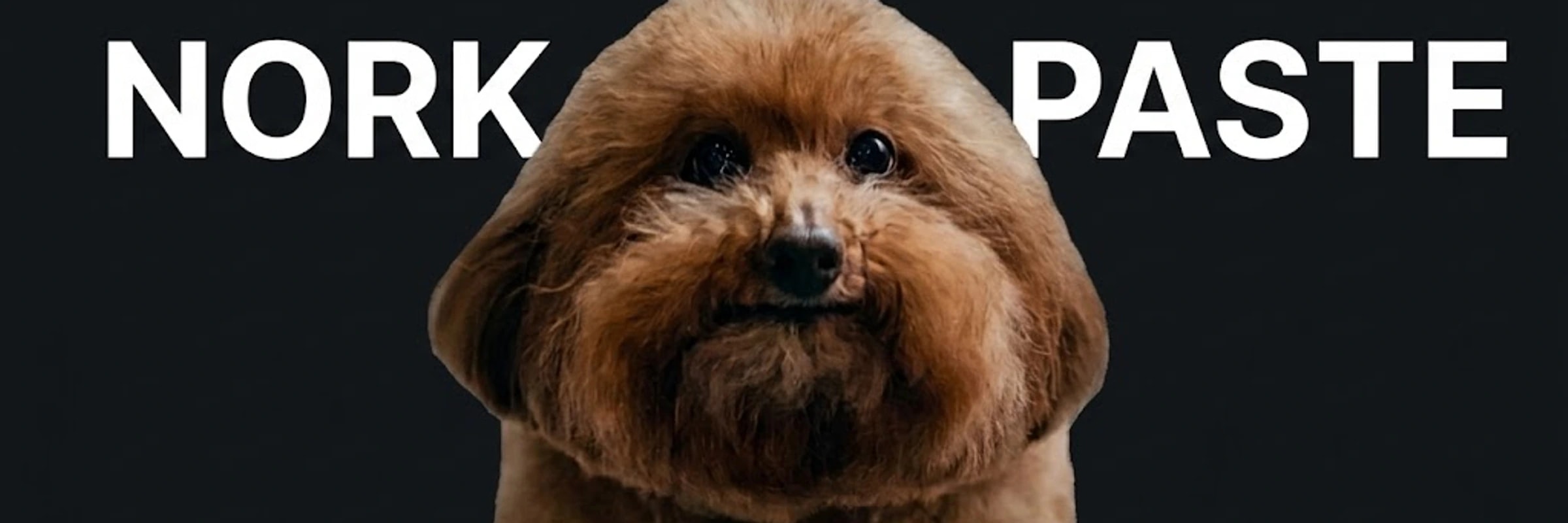 norkpaste_dot_cc's banner