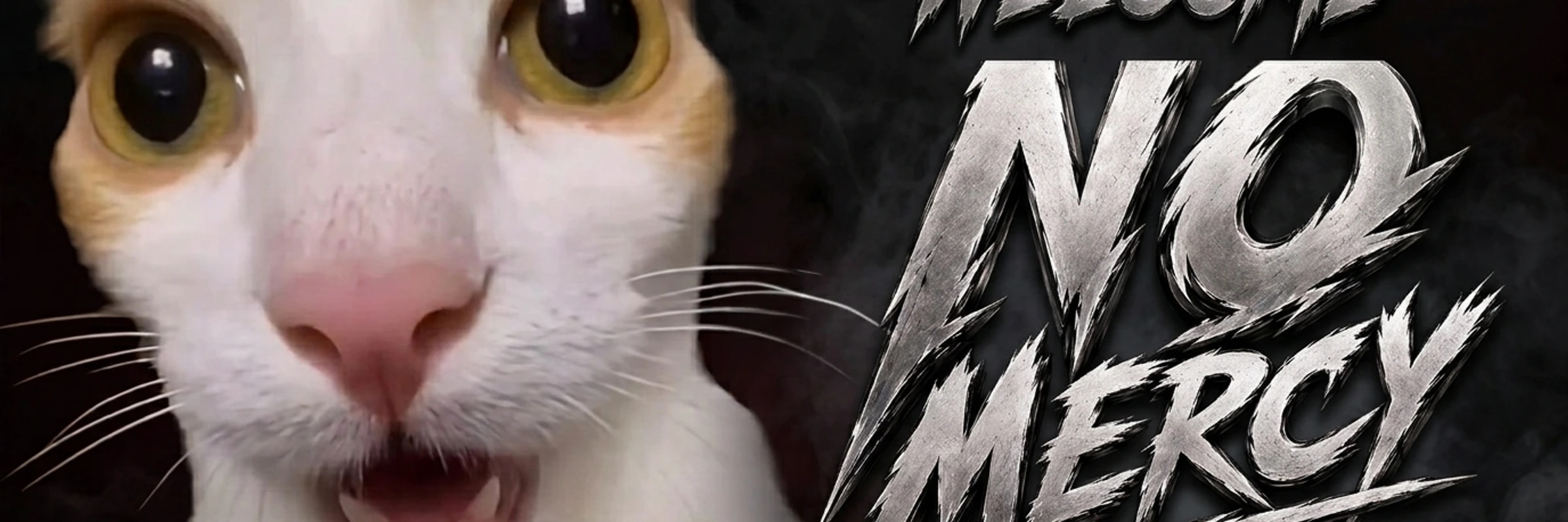 adwaa's banner