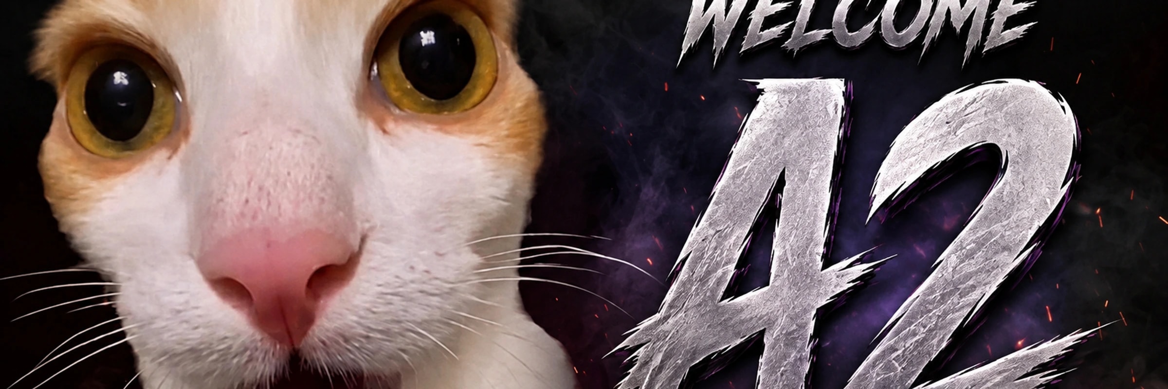 adwaa's banner