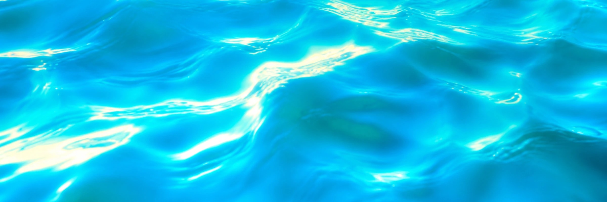 plav's banner