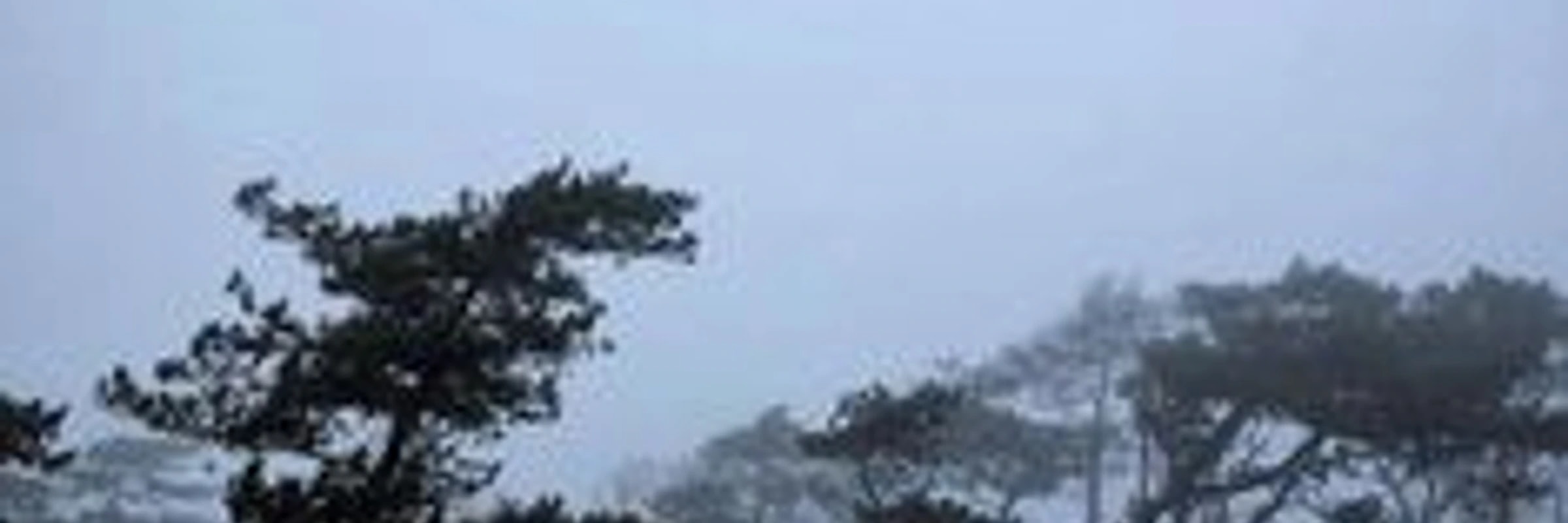htmlstorm687's banner