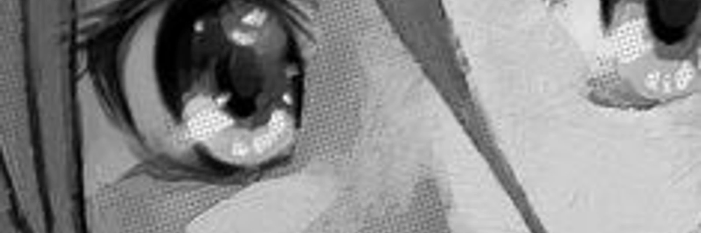 memoryhard753's banner