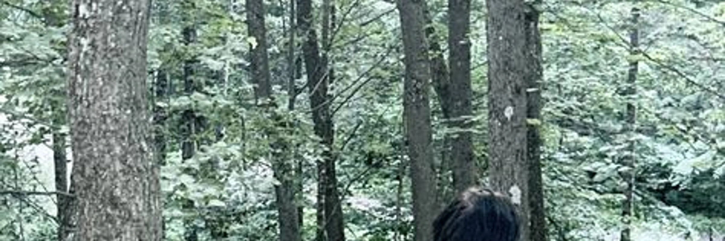cloudhard558's banner