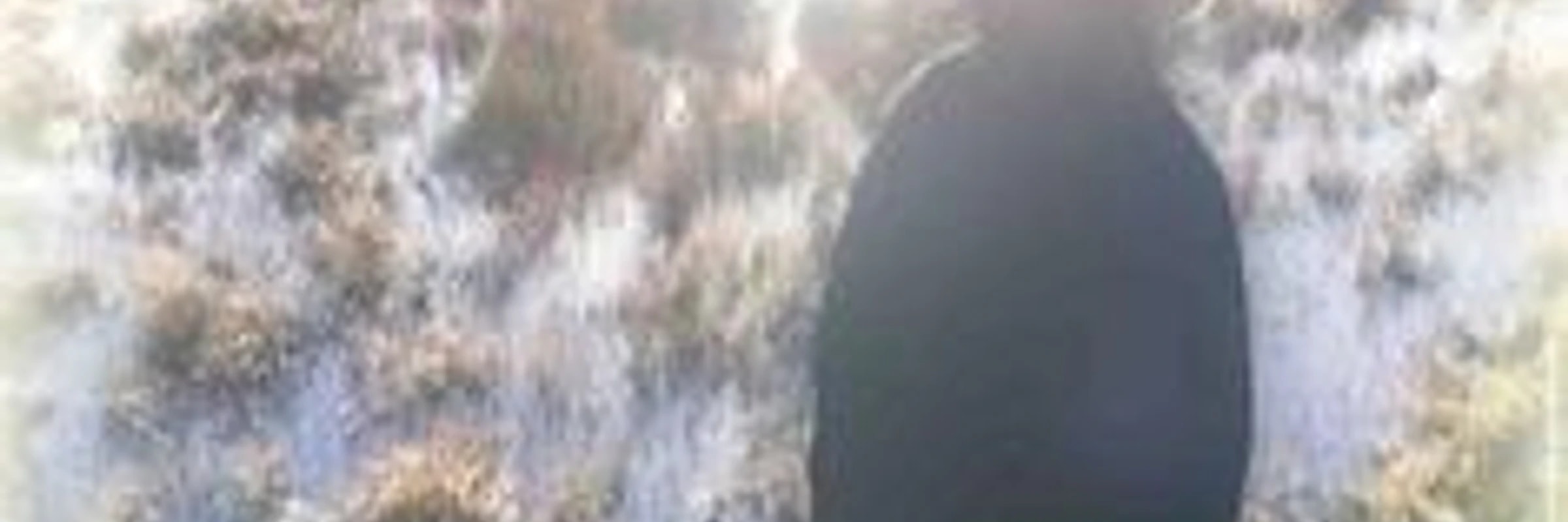 reactphantom257's banner