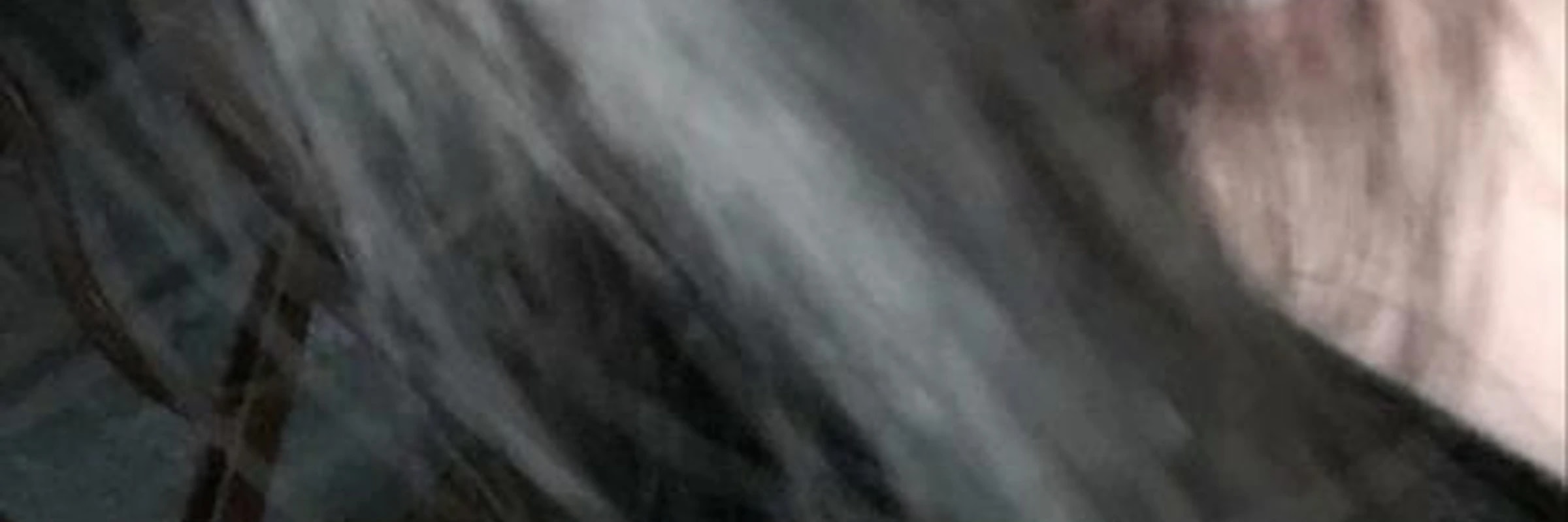 shellwave179's banner