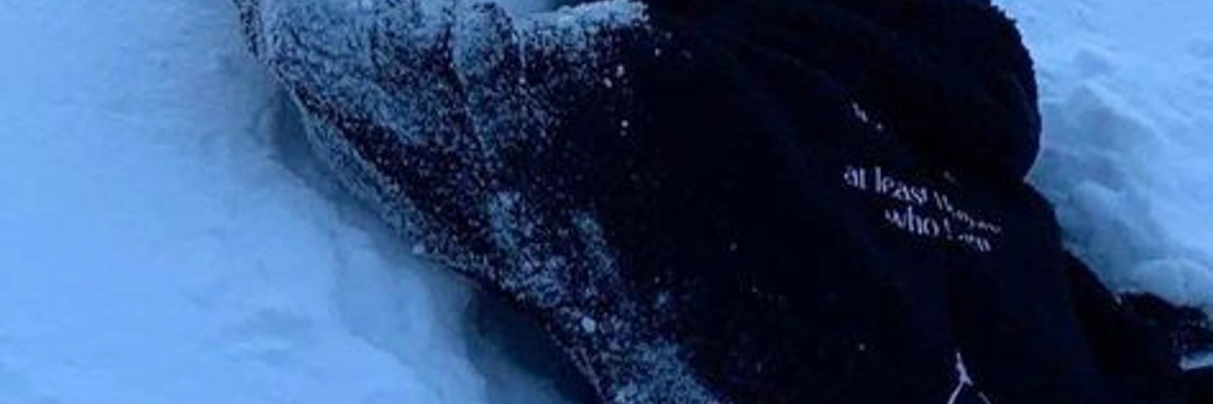hookshift245's banner