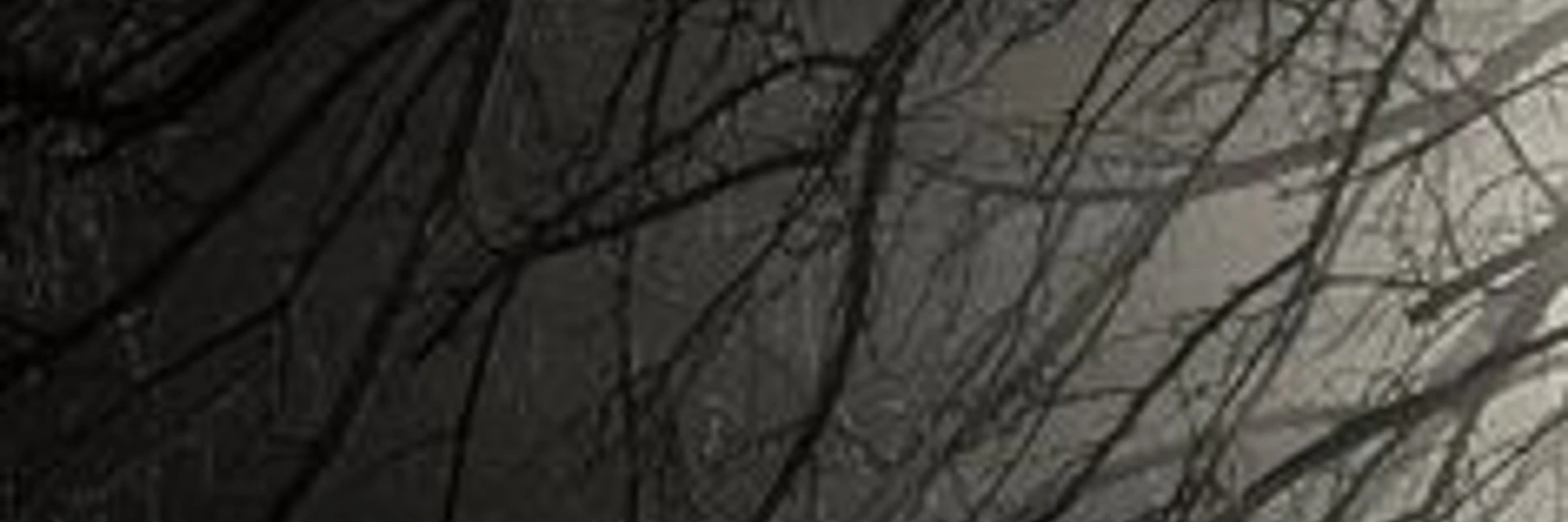 sudoorbit757's banner
