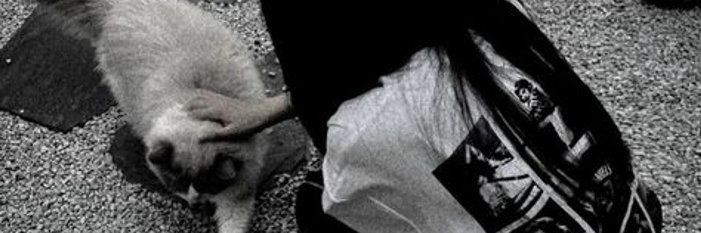 payloadpulse878's banner