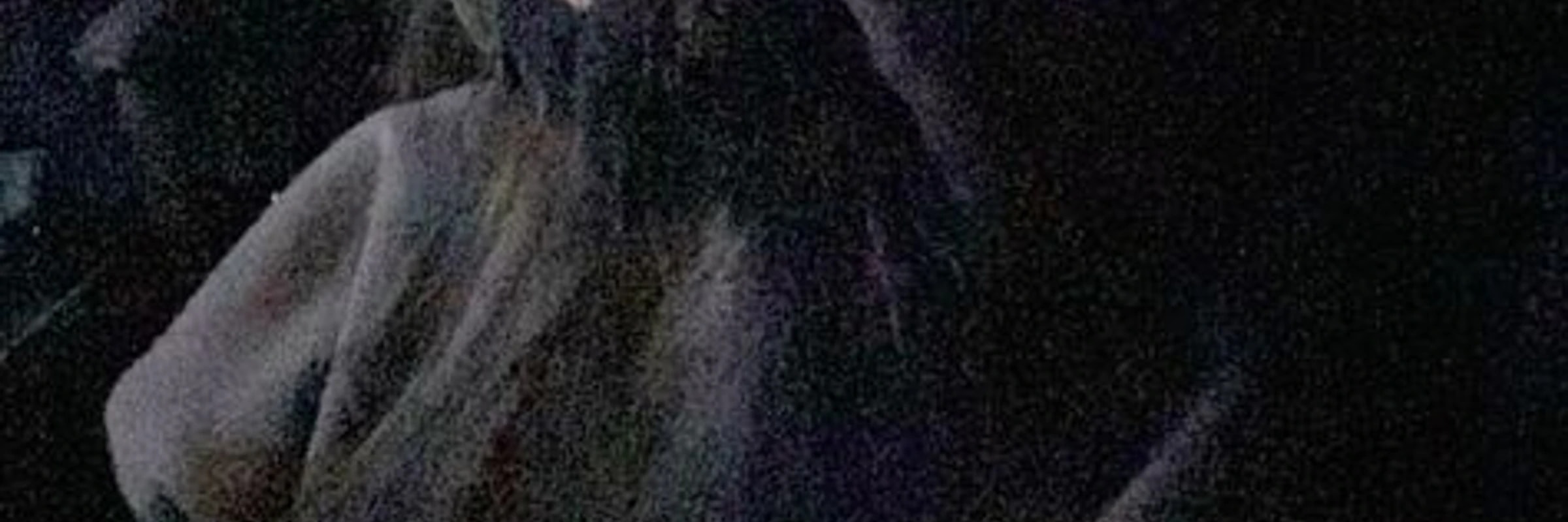 terminalnova350's banner