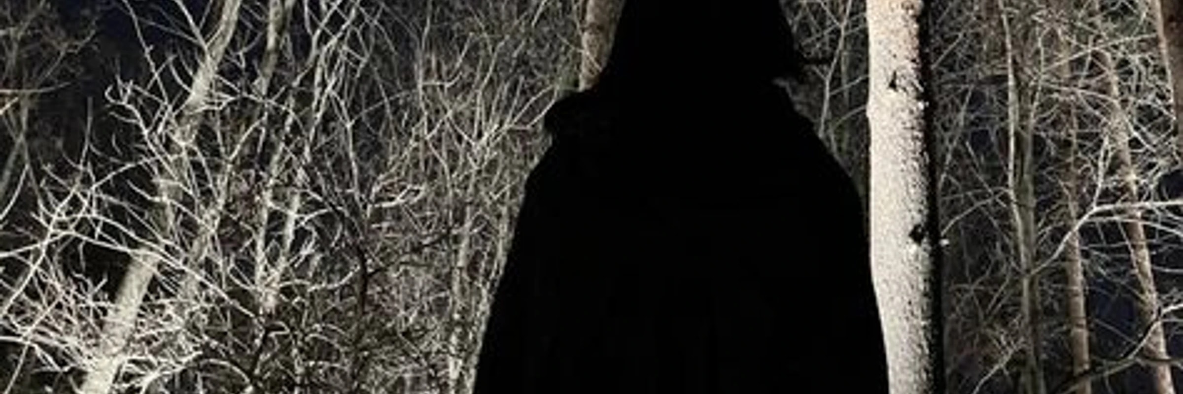 branchstack944's banner