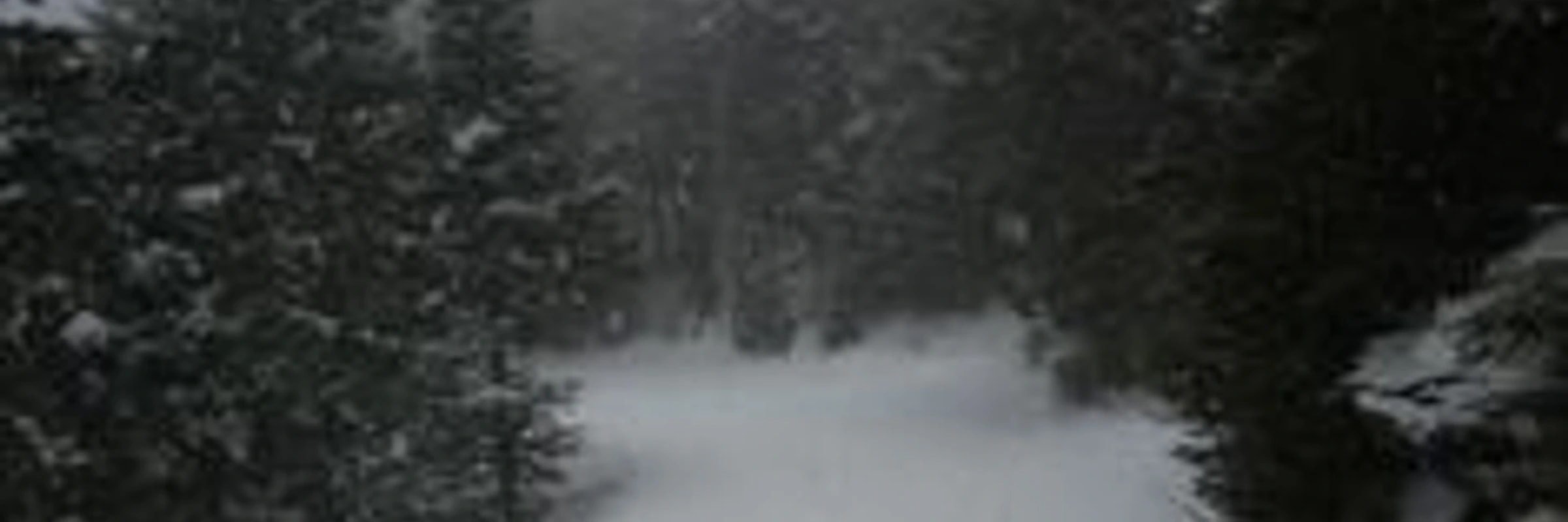 proxyghost264's banner