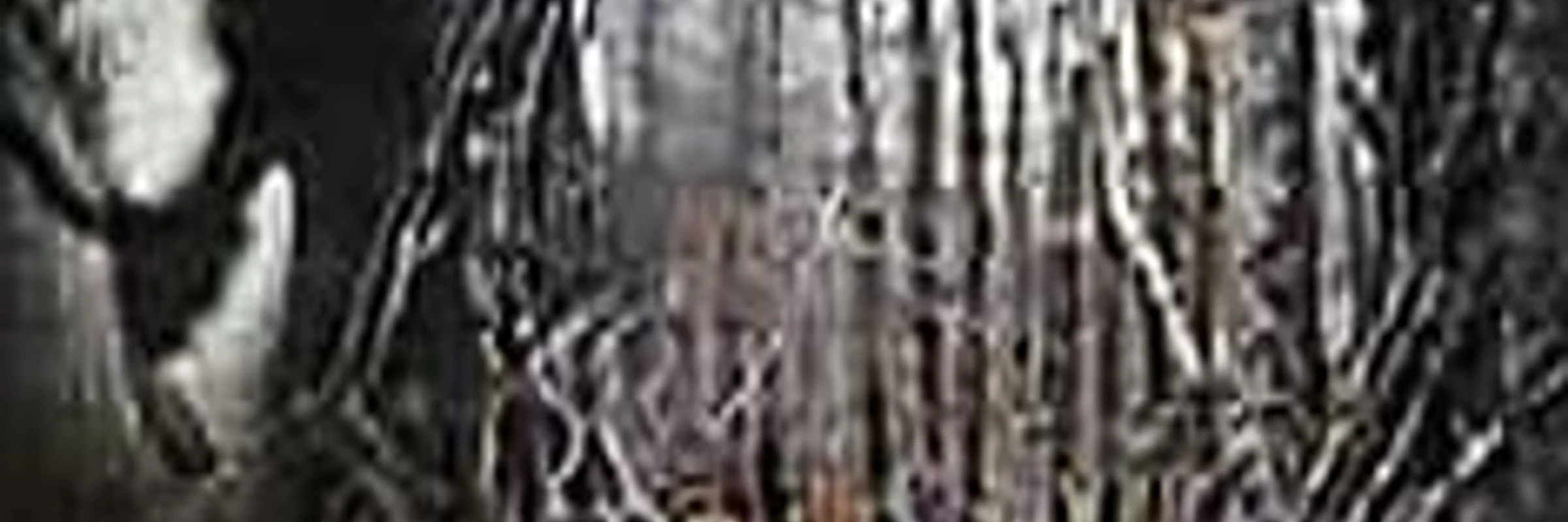 responsebyte895's banner