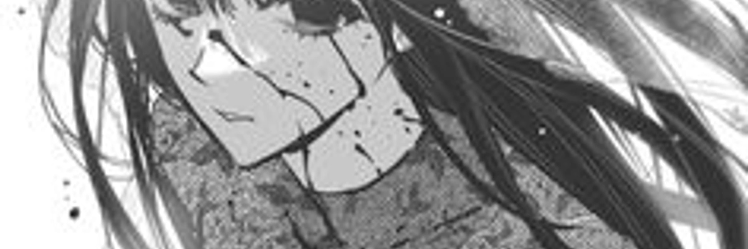 shellzero754's banner