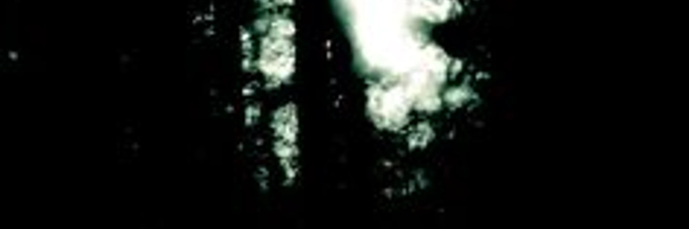 datafrost209's banner