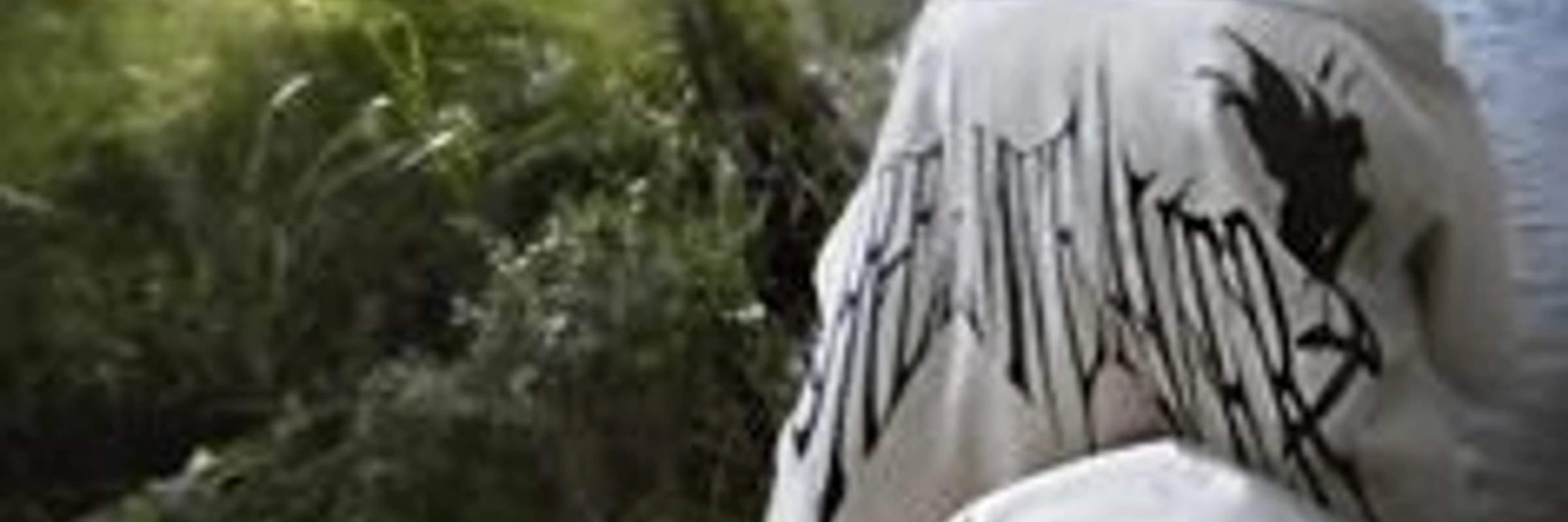biosbacklash717's banner