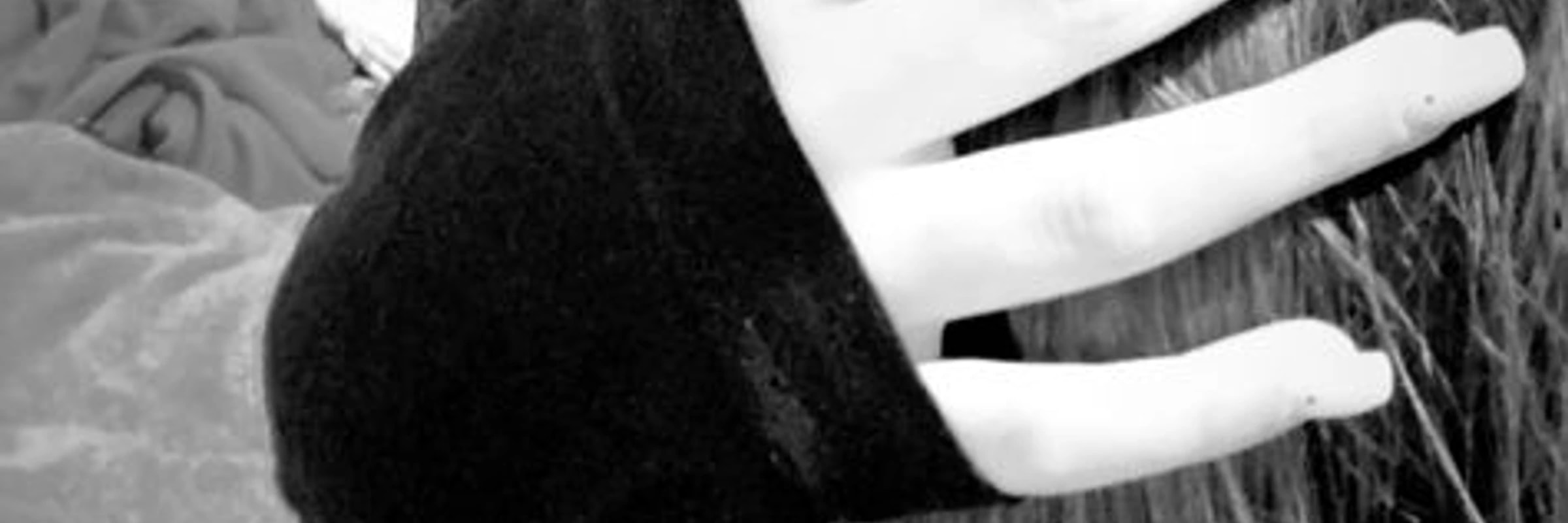 touchInput's banner