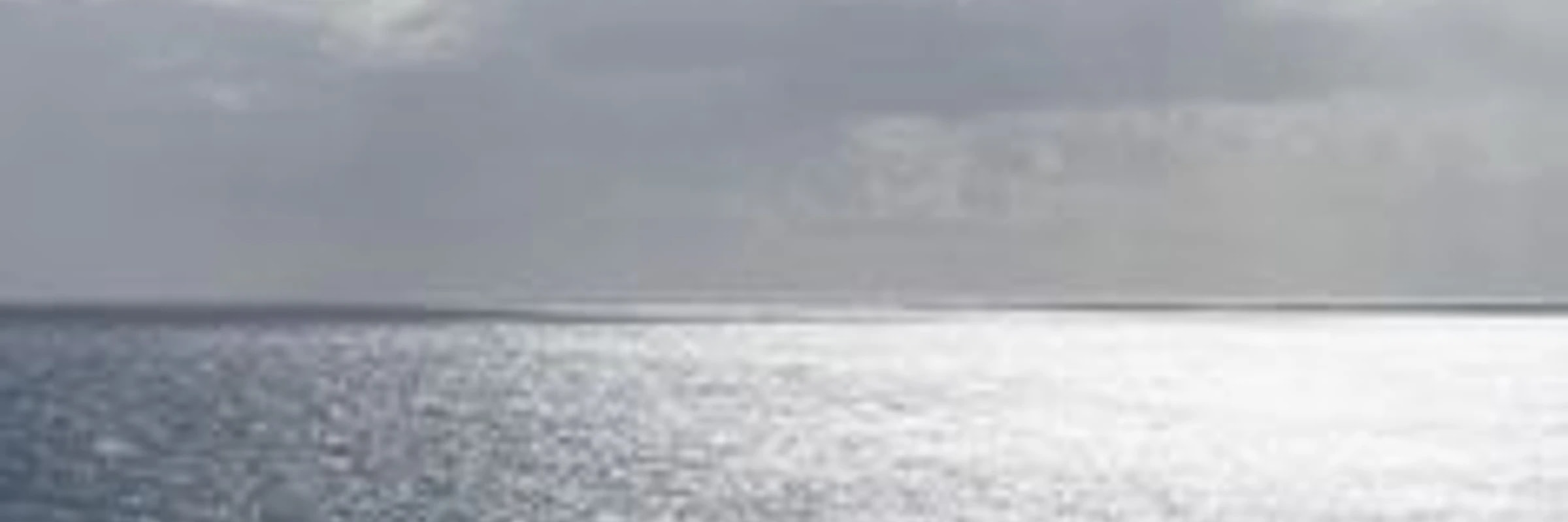 dispatch_Debris_407's banner