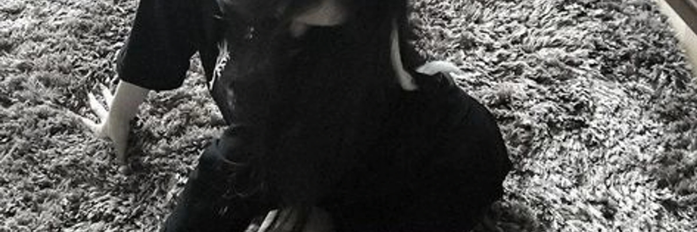 listen_Camera's banner