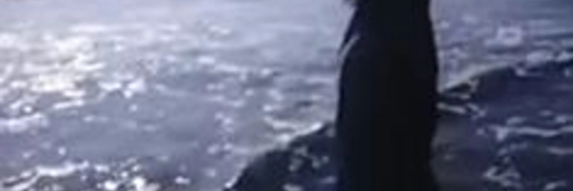 runHttpService's banner
