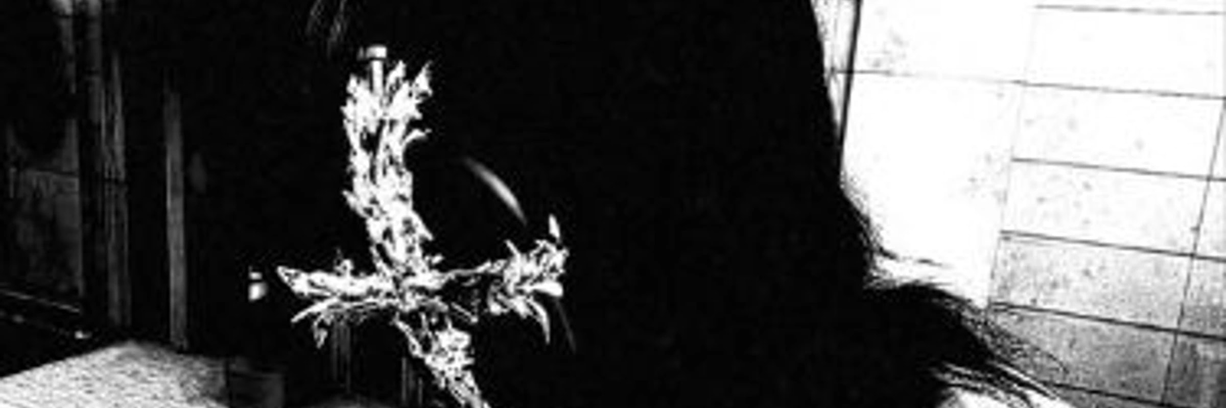 StaggerFang's banner