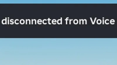 [Universal] Voice Chat Server Crasher