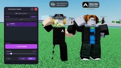 Onyx Animation Copier