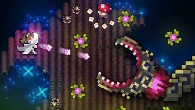 Aurora Script - PRIVATE - UPDATED