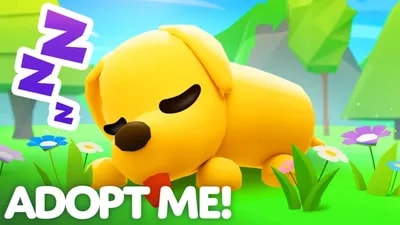 ADOPT MEEE PET SPANWERRRR!!!!