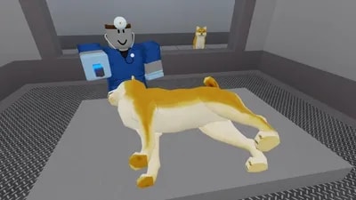 DOG POUND CRASHSERVER FREE