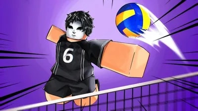 Slim hub Volleyball Legends hit box expander