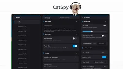 CatSpy (Remote Spy)