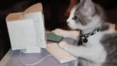 Battle pet - Bazuka hub
